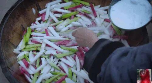 爆料酸菜的视频播放,揭秘酸菜制作全过程