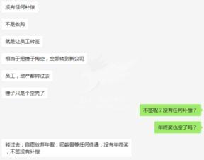 锤子员工今日爆料,揭秘锤子科技内部真相与困境